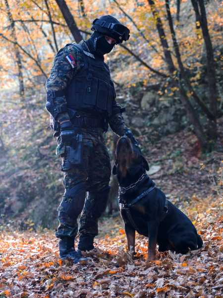 意大利警犬叫什么名字（意大利警犬叫什么名字啊）