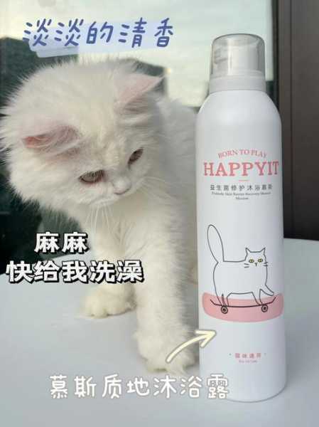 可以用洗发水给猫洗澡吗?（可以用洗发水给猫洗一次澡吗）