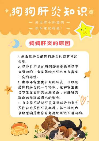 狗狗传染性肝炎症状及治疗方案（狗狗传染性肝炎症状及治疗方案图片）