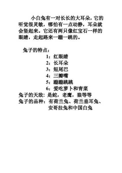 宠物兔子的心理行为特点（宠物兔子的特点和生活特征）