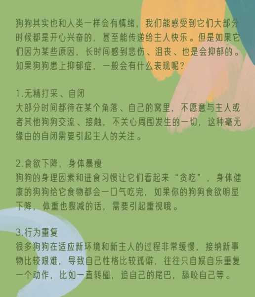 狗抑郁症怎么治（狗抑郁症有什么症状）