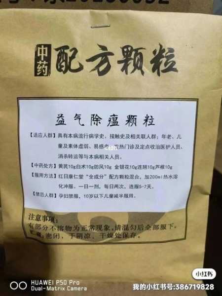 蛇得了肺炎用什么中药（蛇得了肺炎用什么中药调理）