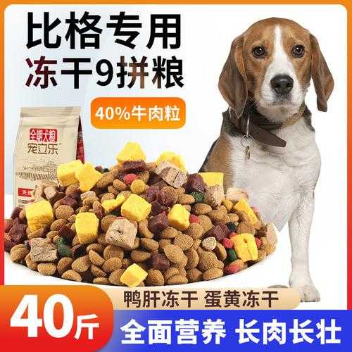 米格鲁猎犬多少钱一只（米格鲁猎犬价格）