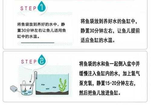 潲水喂鱼怎么处理（潲水养鱼）