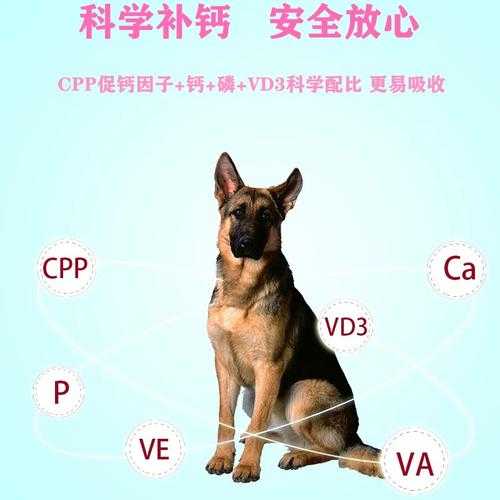 德国牧羊犬怎么补钙（德牧补钙补多了的话什么症状）