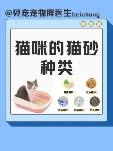 十条容易被忽略的猫砂是什么（各类猫砂优缺点）