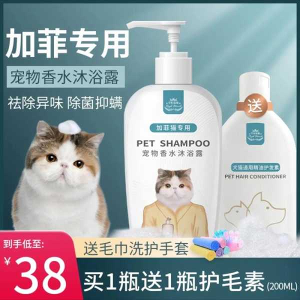 猫咪使用人的沐浴露（猫咪用人的沐浴露会怎样）