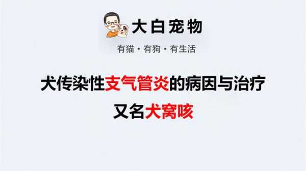 狗狗支气管炎能根治吗（狗狗支气管炎会自愈吗）