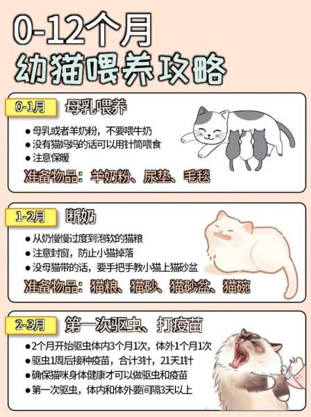 还没满月的小猫怎么养活它（还没满月的猫咪怎么养）