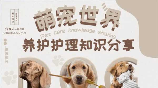 犬的全身护理（宠物狗的护理）