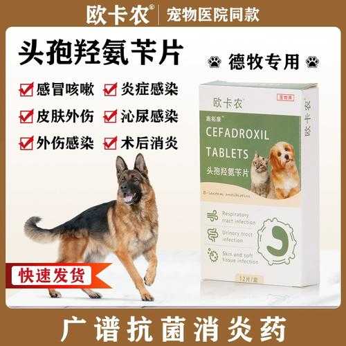 牧羊犬感冒症状有哪些（德国牧羊犬感冒吃什么药）