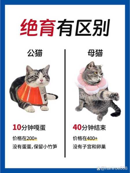 猫咪一定要绝育吗知乎（猫咪一定要绝育吗知乎文章）