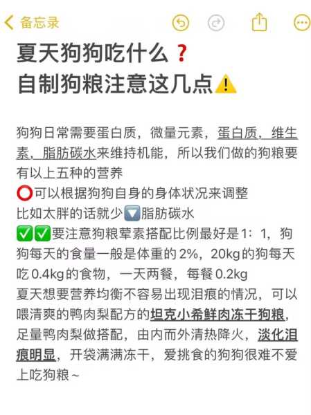 狗狗怎么补充营养?狗粮吃什么（狗狗怎样补充营养）