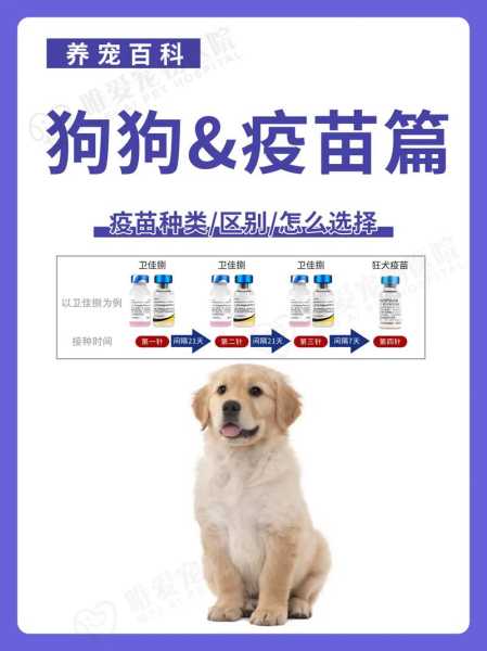 高龄犬还需要打疫苗吗（高龄狗狗）