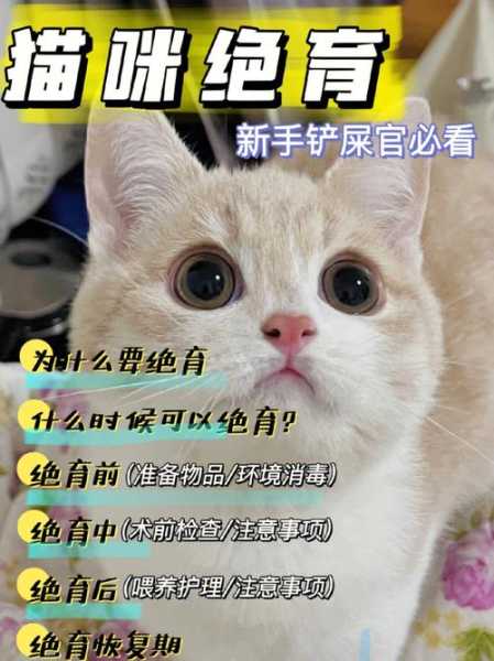 母猫绝育最便宜的方法（老一辈给猫绝育方法）