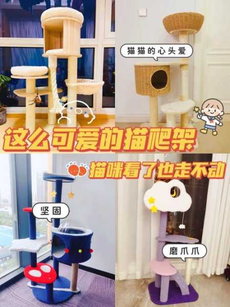 猫咪不会使用猫爬架的原因（猫咪不喜欢爬猫架）