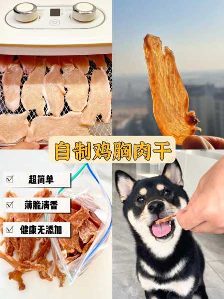 狗狗零食猪肉干自制（狗狗自制肉干需要煮熟吗）