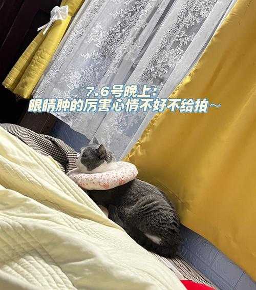 猫眼睛发红可以滴氯霉素滴眼液吗（猫眼睛发红可以滴氯霉素滴眼液吗多少钱）