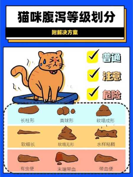 猫咪腹泻不止（猫咪腹泻不止怎么回事）