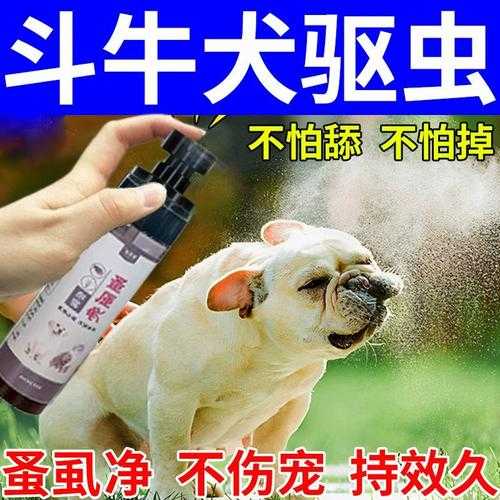 斗牛犬螨虫的治疗方法图片（斗牛犬螨虫的治疗方法图片）