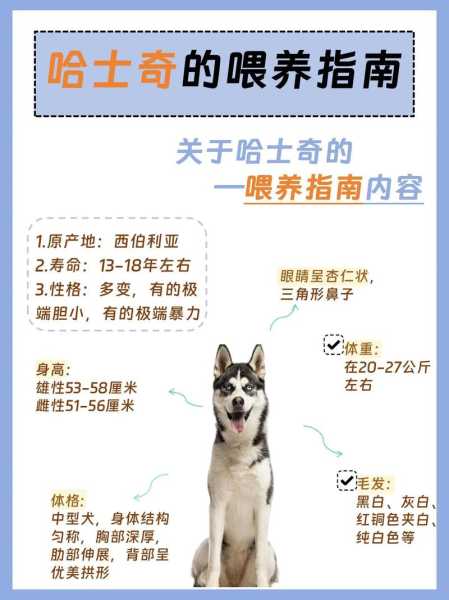 哈士奇怎么选幼犬（哈士奇怎么选幼犬的）