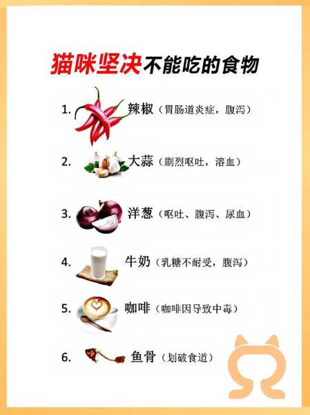 猫咪饮食禁忌大全（猫咪饮食禁忌大全图解）