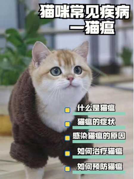 猫瘟是如何传播的（猫瘟如何传染的）