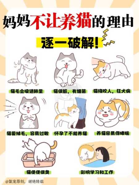 怎么让猫咪不记仇（怎样让猫不恨自己）