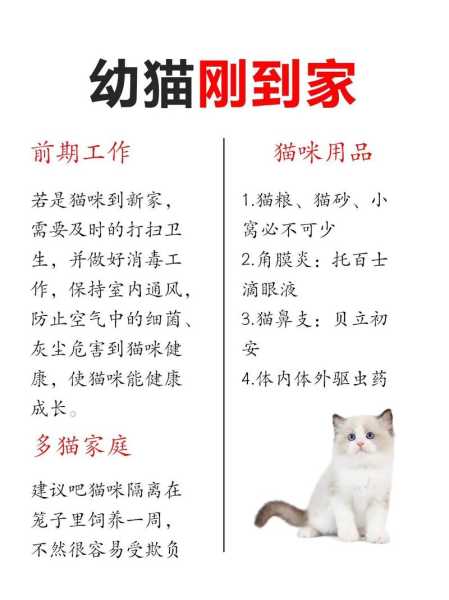 主人不在家怎么喂猫（主人不在家猫咪可以生活多久）