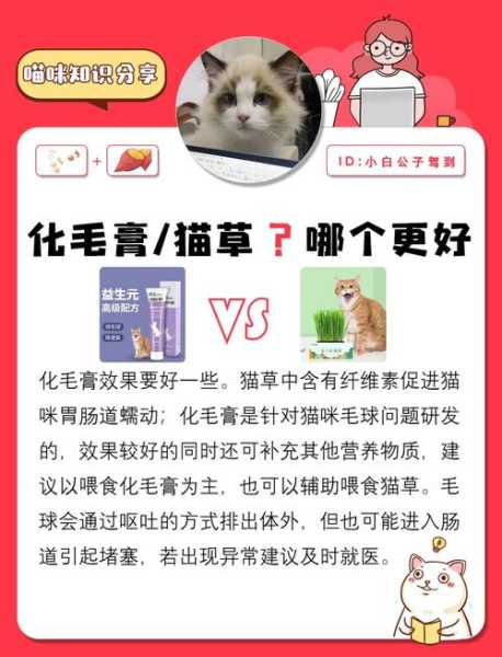 猫咪化毛膏多久有效果（猫咪化毛膏多长时间吃一次）