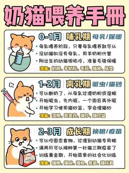 没有猫妈妈,小奶猫怎么喂奶（奶猫没有猫妈妈怎么办）