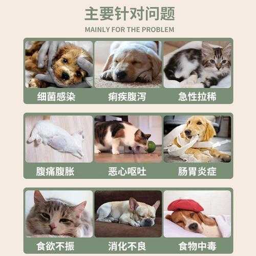 牧羊犬得了肠胃炎怎么治?（牧羊犬肠胃炎吃什么药）