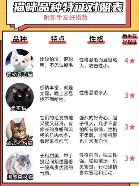 猫品种,你不了解的异类（猫类品种大全图片名字）