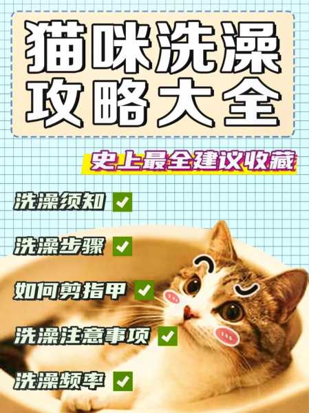 怎么样给宠物猫洗澡（怎么给猫猫洗澡?）