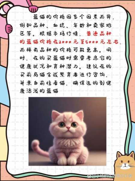 折耳蓝猫价格一般是多少一只（折耳蓝猫是什么品种多少钱）