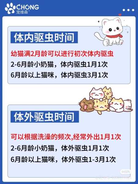 猫咪体外驱虫多久一次?（猫咪驱虫多少钱一次）