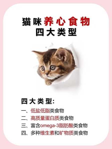 猫补充蛋白质的食物有哪些（猫补充蛋白质的食物有哪些图片）