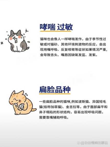 猫咪呼吸急促的原因有哪些症状（猫咪呼吸急促该怎么办）