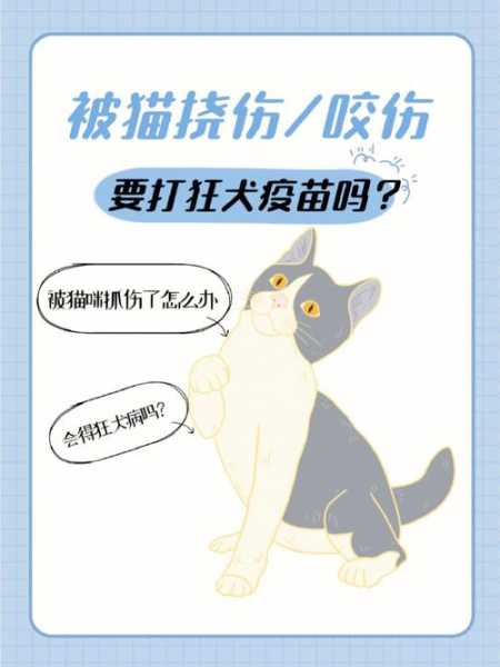 铲屎官该如何避免被猫抓（怎么避免猫抓伤人）