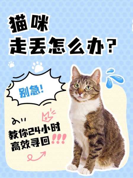 猫在家散养会捣乱吗（猫咪散养会不会走丢）