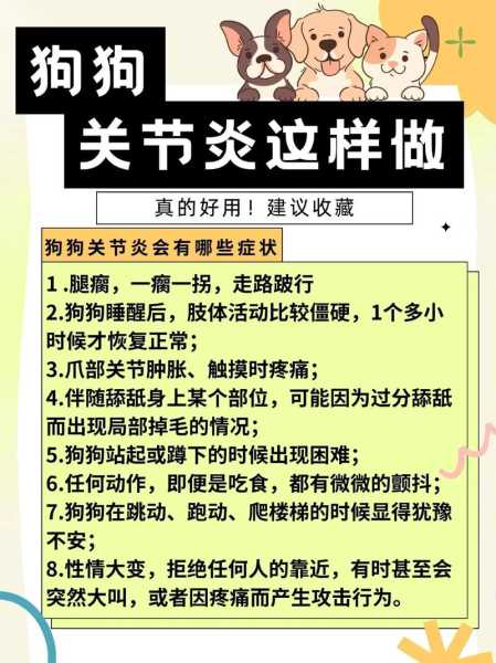 怎么能预防狗狗患上关节炎症（怎么能预防狗狗患上关节炎症呢）