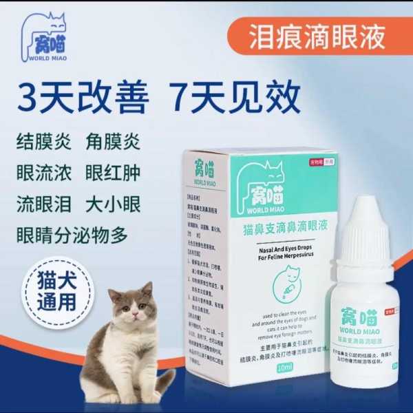 猫咪日常眼部护理应该做什么（猫咪眼睛护理用什么眼药水）