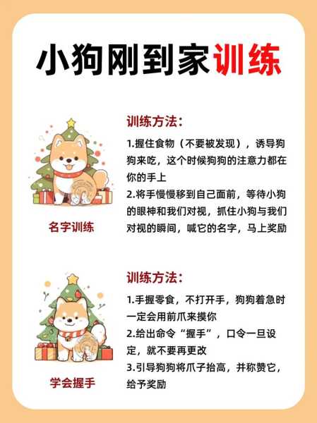 金毛犬怎么训练握手（金毛犬怎么训练握手姿势）