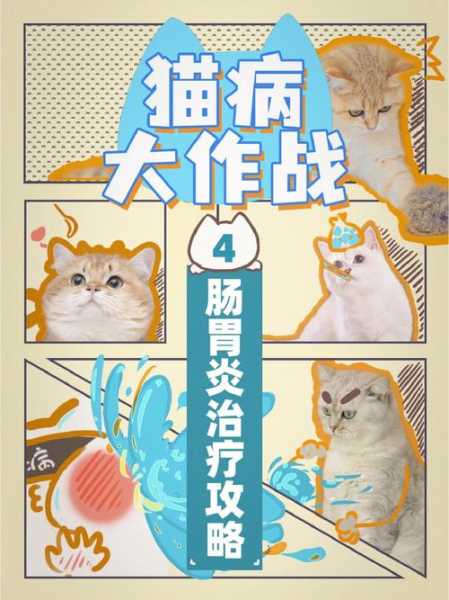 猫咪肠胃疾病怎么治（猫咪肠胃疾病怎么治疗）