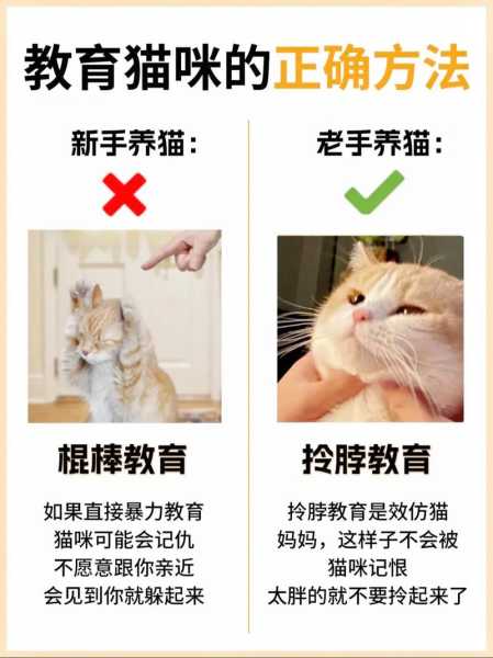 为什么我家猫抓脖子还乱动（猫抓挠脖子是为什么）