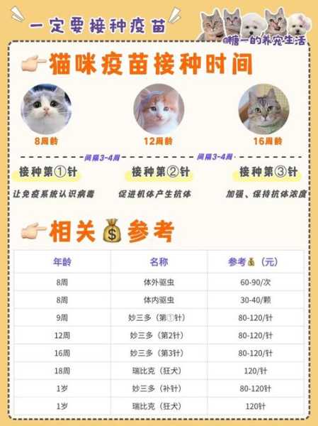 猫咪疫苗打什么好（猫咪打什么预苗）