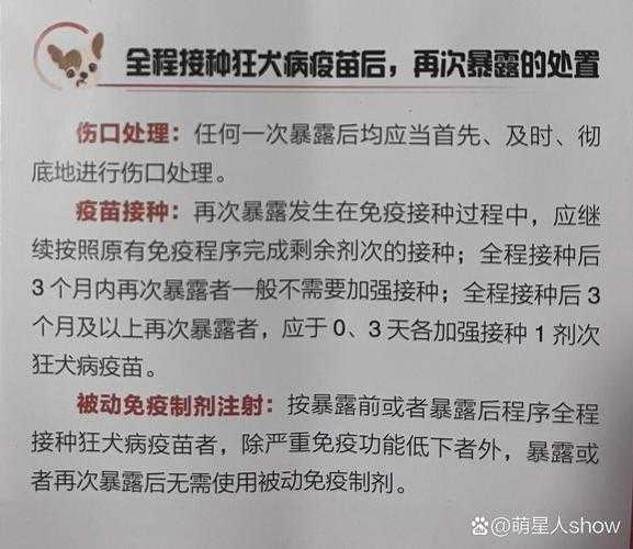 被自己的狗咬了好几年了然后现在打狂犬疫苗（被自己的狗咬了好几年了然后现在打狂犬疫苗有效吗）