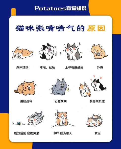 猫咪呼吸急促为什么（猫咪呼吸急促的原因有哪些）