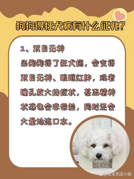 狗狗得了狂犬病能活多少年（狗狗得狂犬病后能活多久）