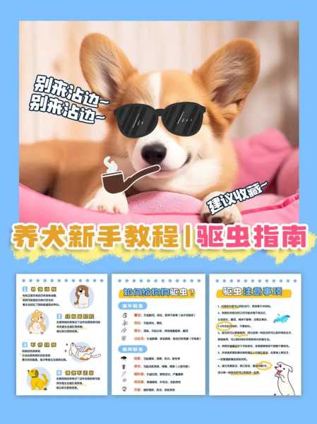 犬用超可信（犬用超可信驱虫药使用方法）